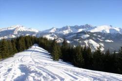 PARZENICA дом адпачынку 07